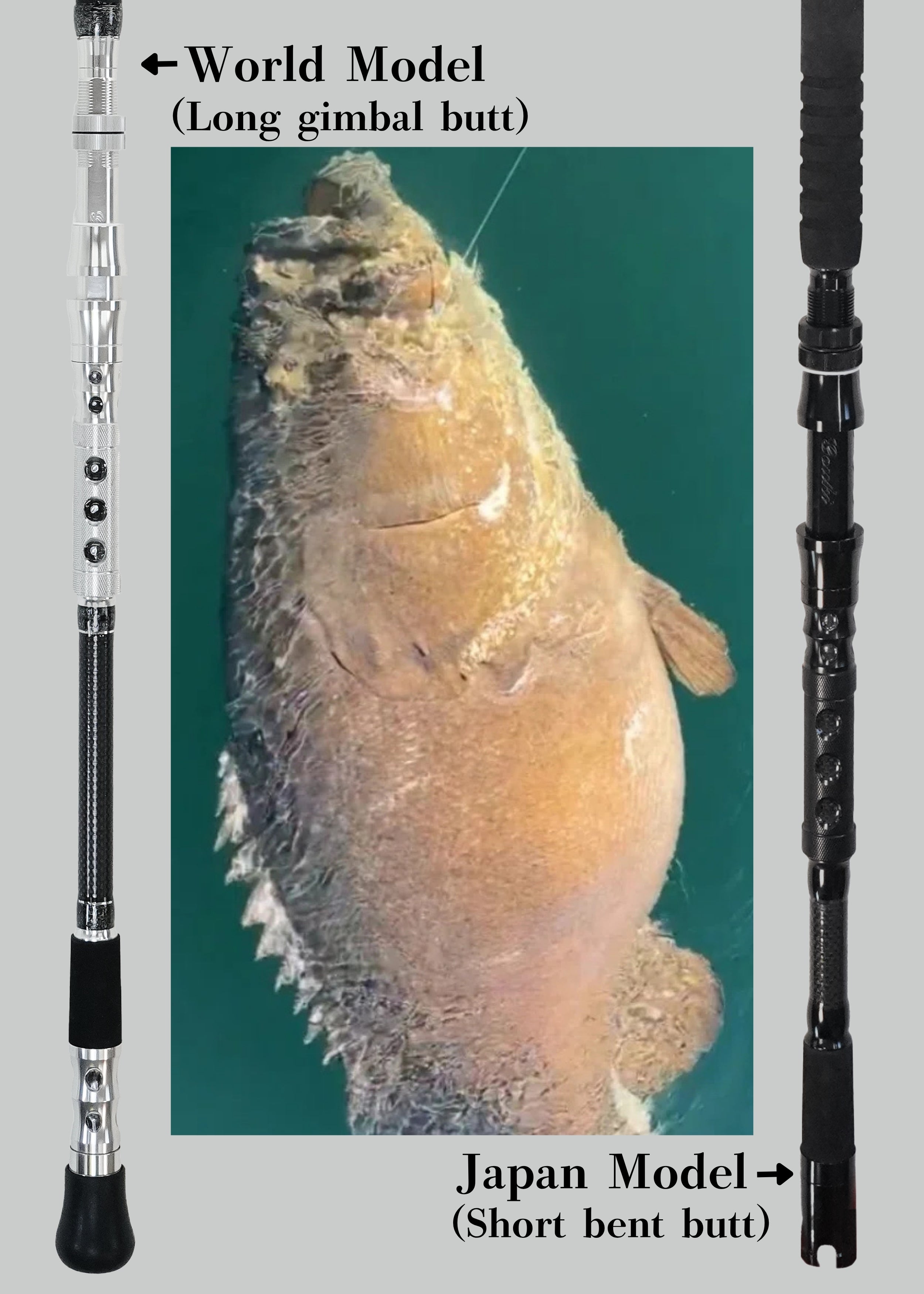 Stand UP Grouper