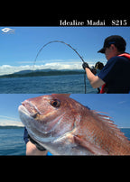 Idealize red sea bream